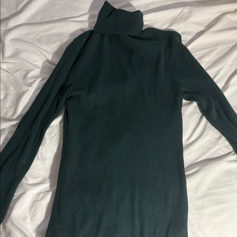 Massimo Dutti Dark Green Ribbed Turtleneck Sweater